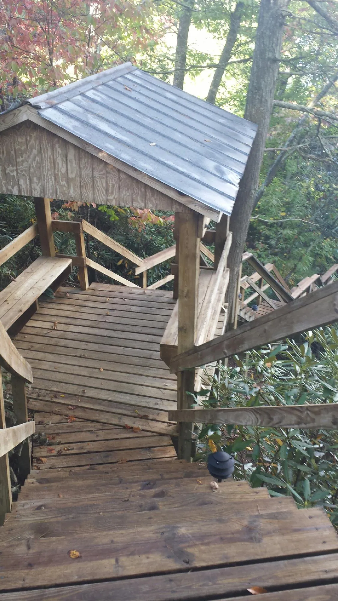 Metal roofed shelter over wooden steps on a wooded walkway — Skylight Repair & Installation work by our crew in Scotts Mills