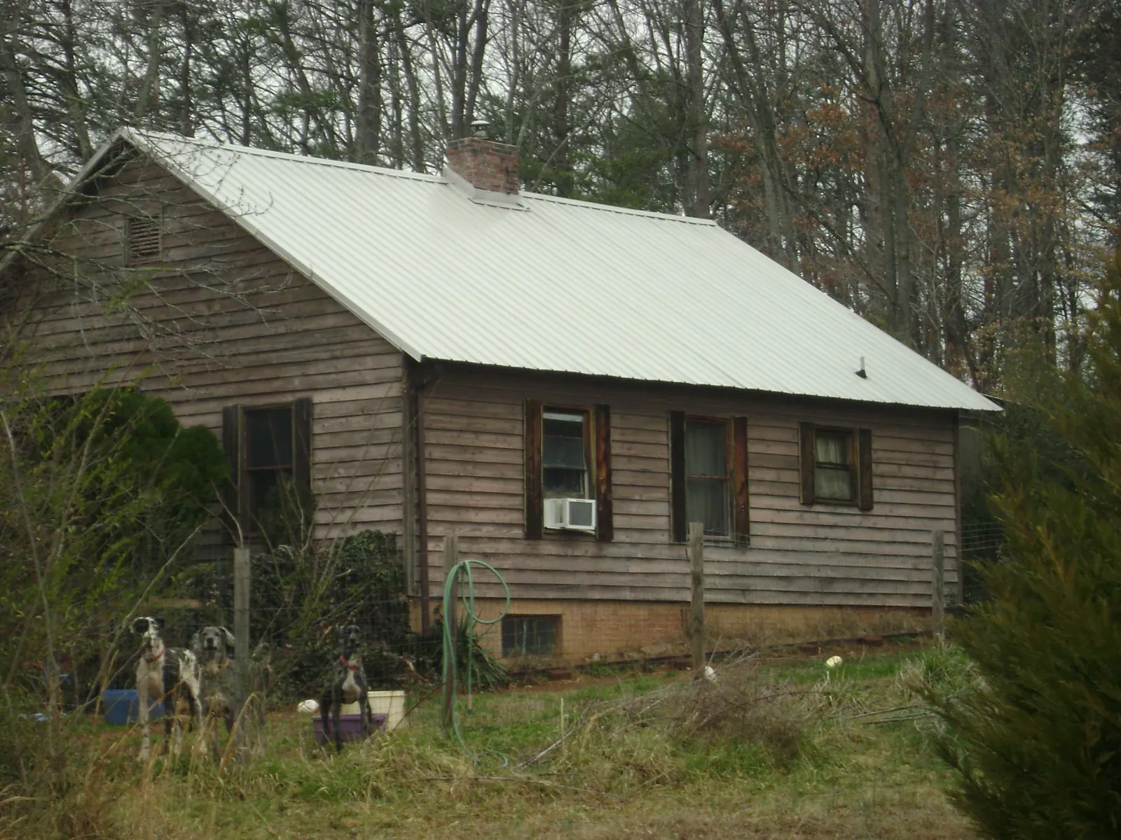 White metal roof on an old wood sided farmhouse, from a Metal Roof Installation job in Scotts Mills